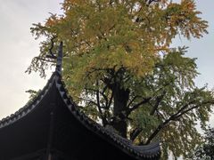 -惠山古镇·寄畅园