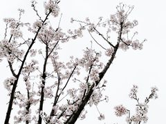 -浙江大学(海宁国际校区)