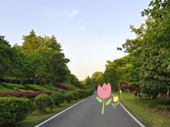 -宜兴龙背山森林公园