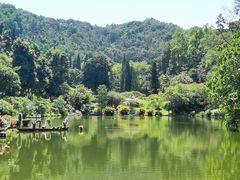-深圳仙湖植物园