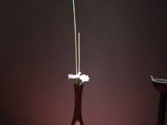 -觀芷隐轩