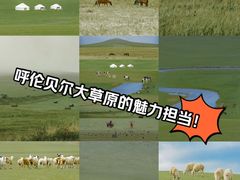 -呼伦贝尔大草原