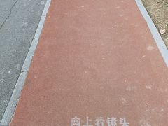 -海淀公园