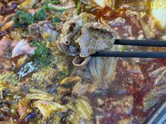 -古彭7只羊·招牌白串·碳锅羊肉旗舰店