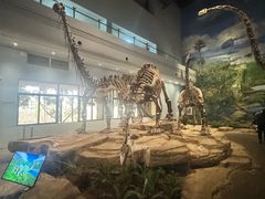 -自贡恐龙博物馆