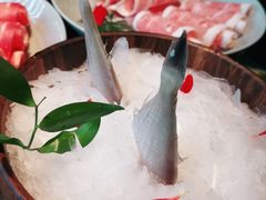 -大隐·成都火锅Bistro(合生麒麟新天地店)