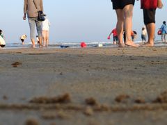 -日照海滨国家森林公园