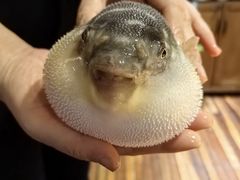 -永安鱼庄·镇江菜(丁卯店)