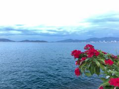-越海渔村