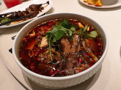 特色毛血旺-蝶园·装修中(BFC外滩金融中心店)