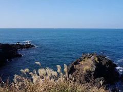 -龙头岩(Dragon Head Rock)