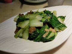油渣上海青-韵秋荷(宝山龙湖天街店)
