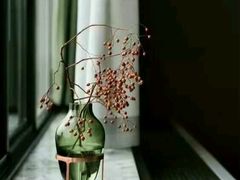 -乐享养生(东湖店)