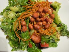 农家大拌菜-邢氏老太太烤串(北兴街店)