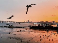 -星海广场