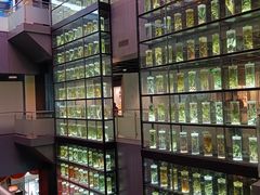 -广东中医药博物馆