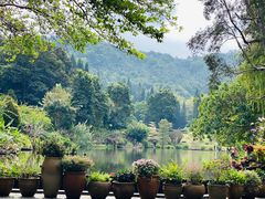 -深圳仙湖植物园