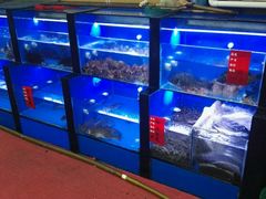-阳光海鲜大排档