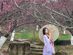 -秀丽东方