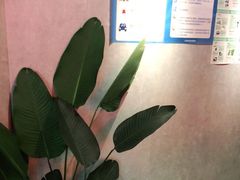 -一间森林酒店(上海人民广场店)