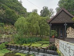 -Local泰莲庭(虹鳟鱼店)