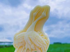 -黑龙江扎龙生态旅游区