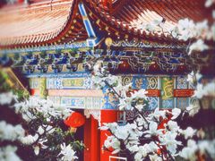 -皇罗禅寺