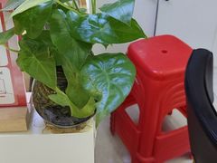 -郑远元专业修脚房(商乐店)