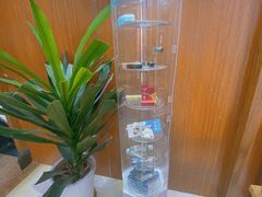 -赫尔森口腔·牙齿种植修复