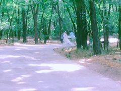 -廊坊市自然公园