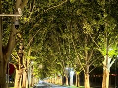 -河南省黄河迎宾馆