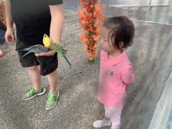 -萌宠亲子动物乐园(槐房万达店)