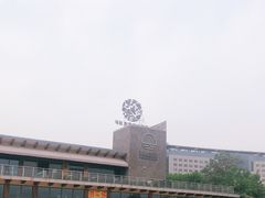 -青枫公园