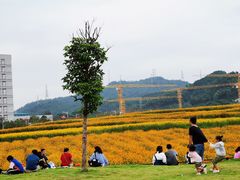 -光明小镇欢乐田园