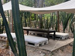 -MOJ coffee(瓯海泽雅水碓坑店)