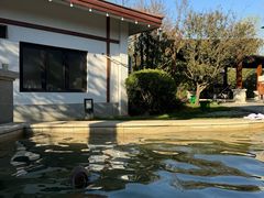 -思念果岭悦温泉