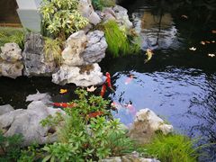 -鲤院·新中式美学·庭院餐厅(夫子庙店)