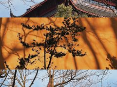 -灵隐飞来峰景区