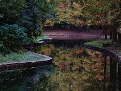 -上海共青森林公园