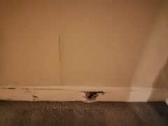 -上海棕榈滩海景酒店