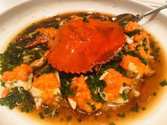 葱油蒸红膏蟹-玫瑰厅上海菜(兴国路店)