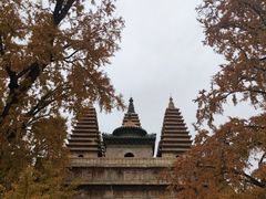 -北京石刻艺术博物馆(五塔寺)