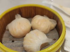 -东方早茶 海鲜•青岛菜(国信体育中心店)