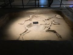 -洛阳周王城天子驾六博物馆