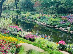 -上海共青森林公园