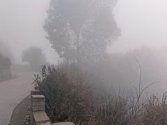 -白草畔自然风景区