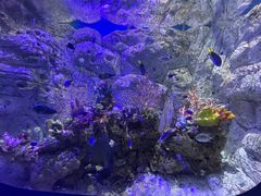-欢乐海岸海洋奇梦馆