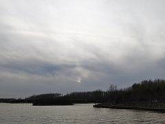-丁香湖公园