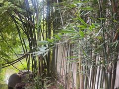 -成都川菜博物馆