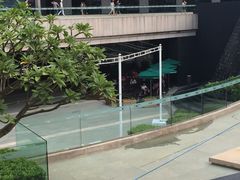 -星巴克臻选(南宁万象城店)
